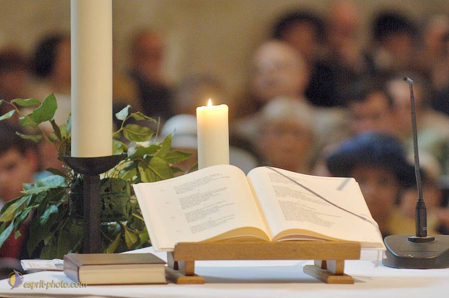 Nom de l'image : D2164387_1_(c)Norbert-JUNG — Description :